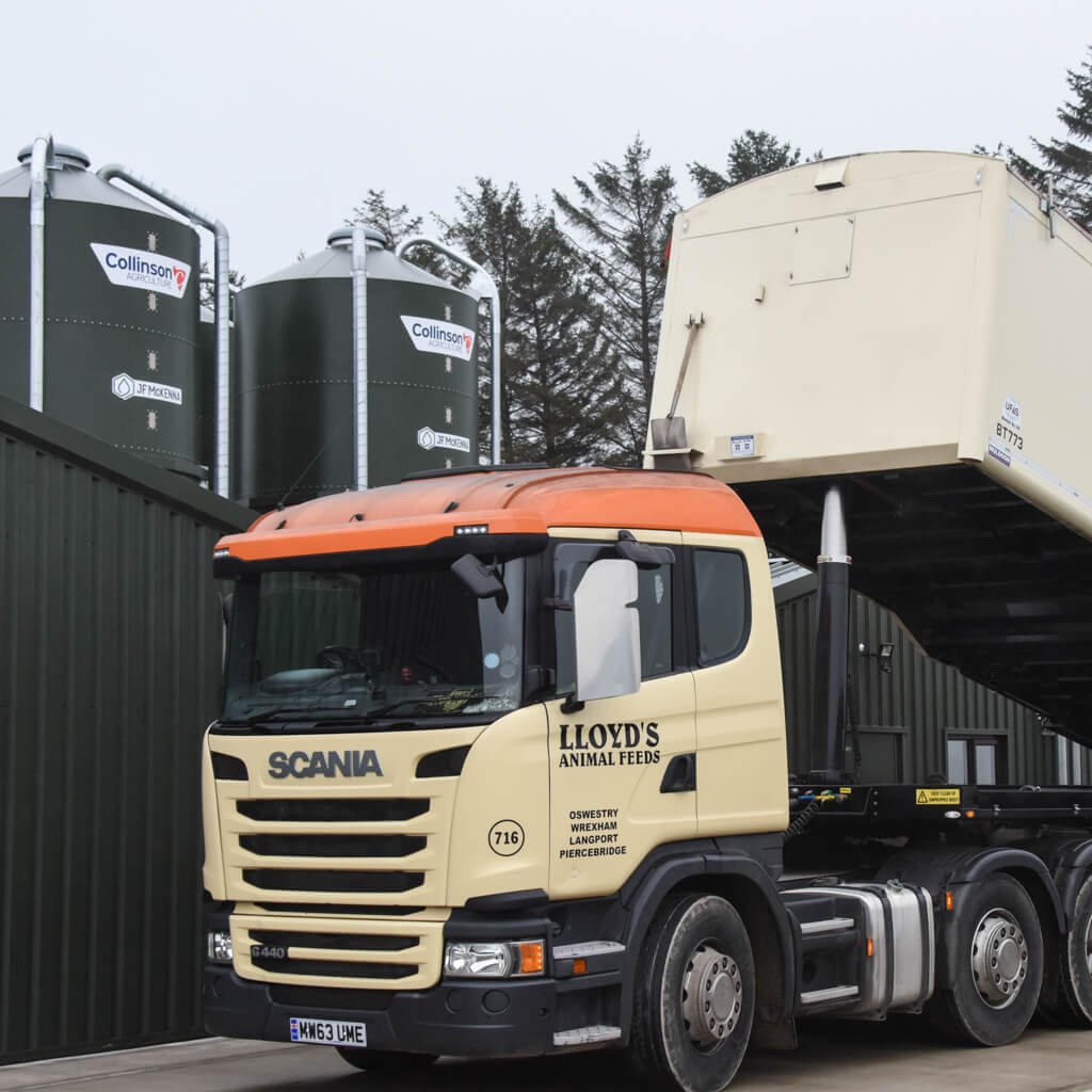 Poultry Feed Country Fresh Pullets Ltd.